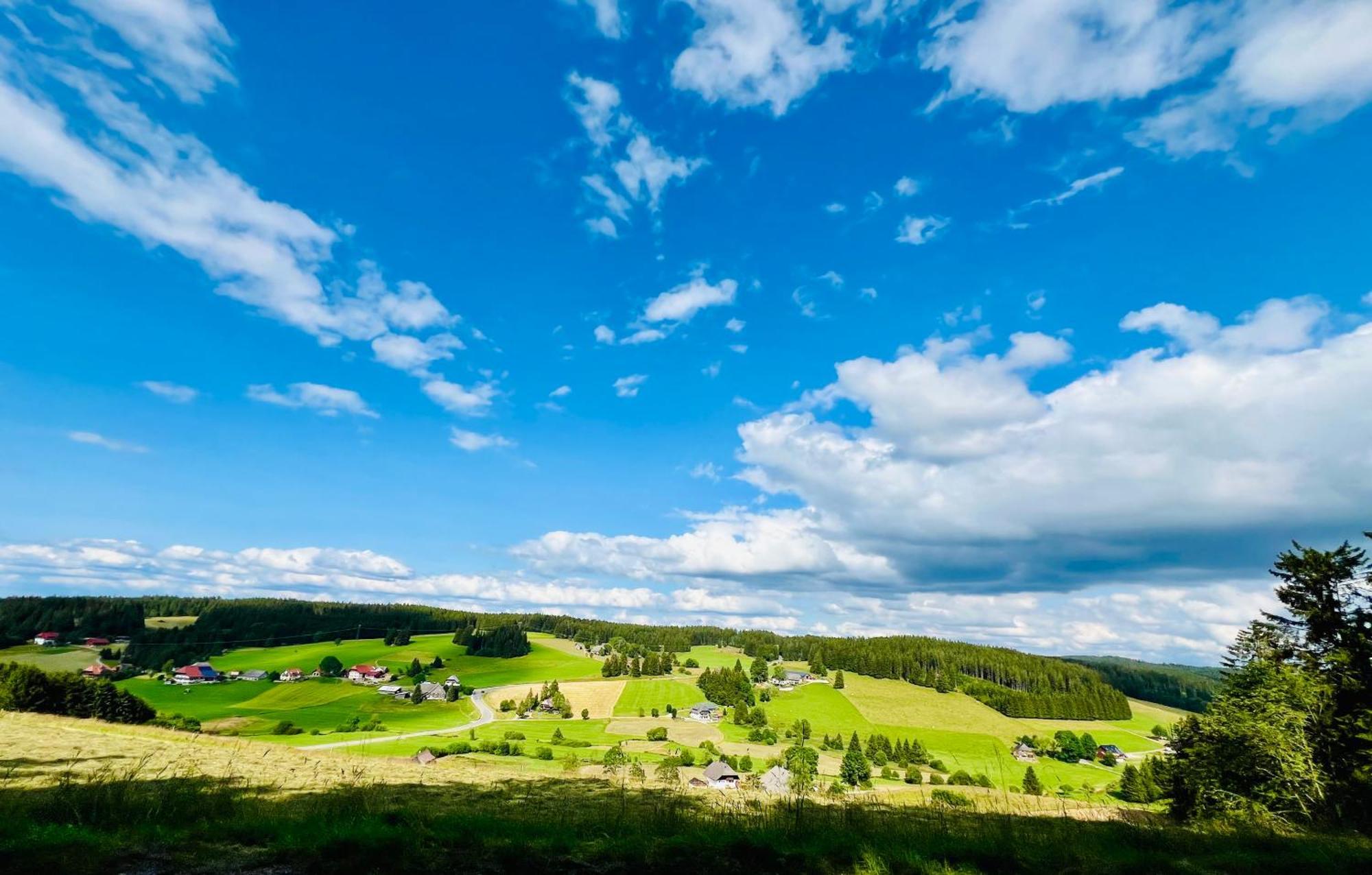Mitten Im Schwarzwald Mit Infrarot-Sauna Und Garagenparkplatz Шенвальд Екстер'єр фото